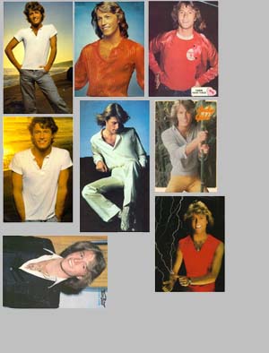A page of Andy Gibbs