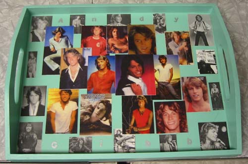 Andy Gibb Tray